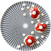 Black Diamonds - Plat  tarte 30 cm