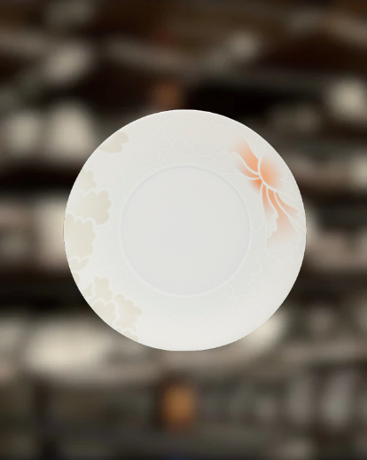 Collection en porcelaine | Artistes